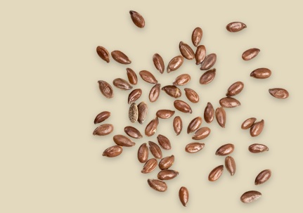 Flax seeds